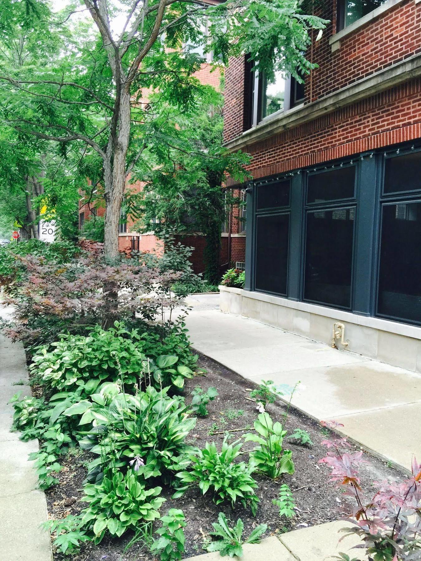 House 5863- Chicago'S Premier Bed And Breakfast מראה חיצוני תמונה